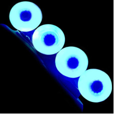 LED Kółka do Rolek Flying Eagle Radiant 68 mm/85A 4 szt niebieski