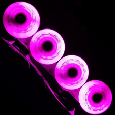 LED Kółka do Rolek Flying Eagle Radiant 68 mm/85A 4 szt fioletowy